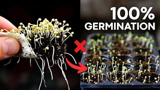 The Revolutionary Method for Starting Seeds