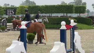 Tia Maria Jumping Wuustwezel Cyclus 5 jarige paarden 19/05/2024