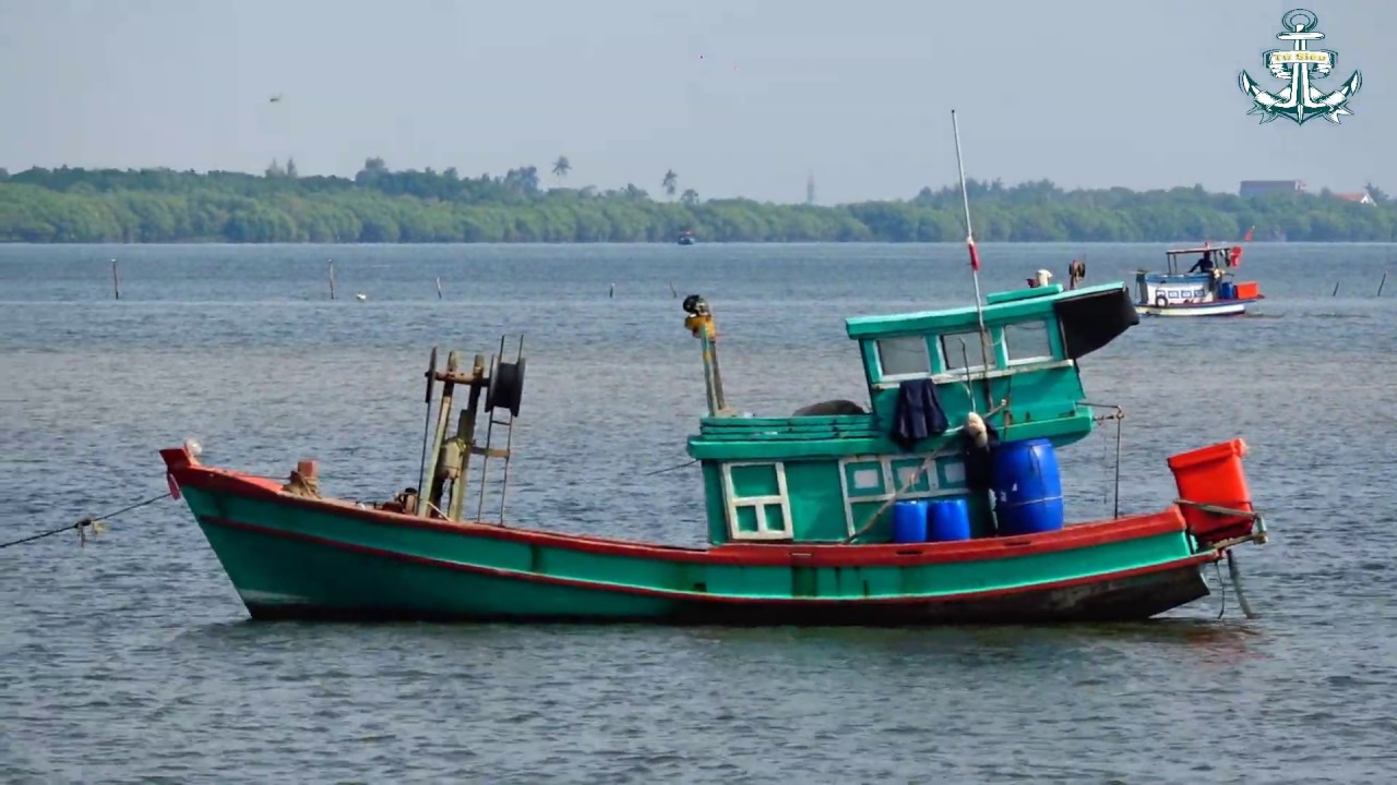 Đến Mũi Dừa Mới Biết Đây Là Miền Đất Hứa Của Những... - youtube