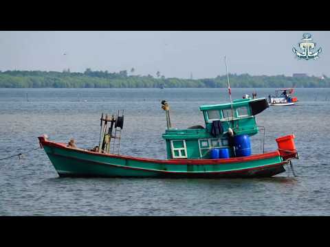 Video Đến Mũi Dừa Mới Biết Đây Là Miền Đất Hứa Của Những... - youtube