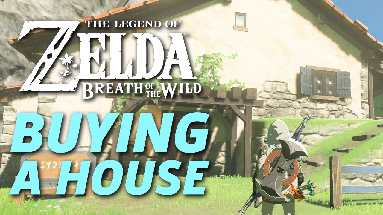 breath of the wild buy