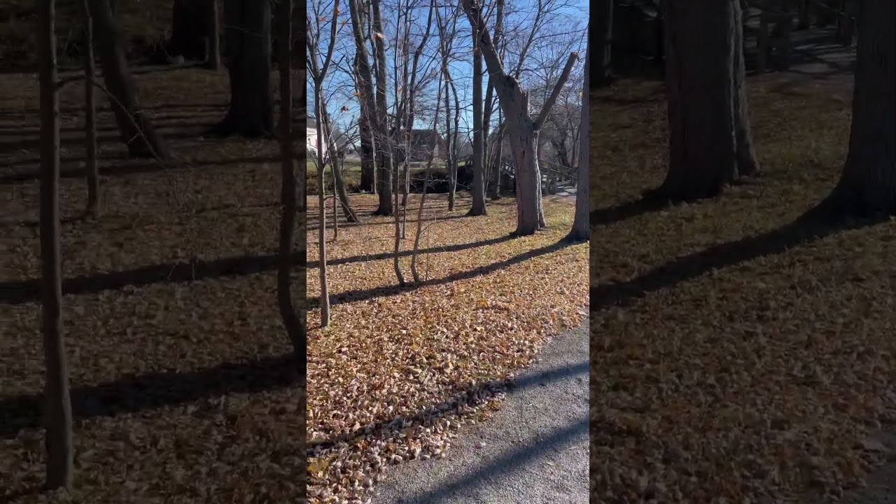 The River Raisin - The World’s Most Crooked River