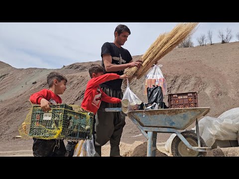 rural life .  Babak goes to Garmsir after planting a tree