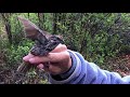 Bird Banding in Los Alamos Wetlands