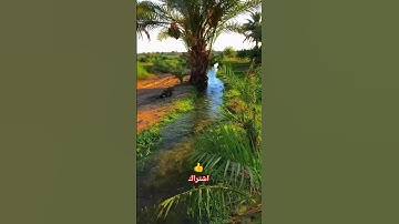 قران كريم #اكسبلور #راحة_نفسية #المصحف