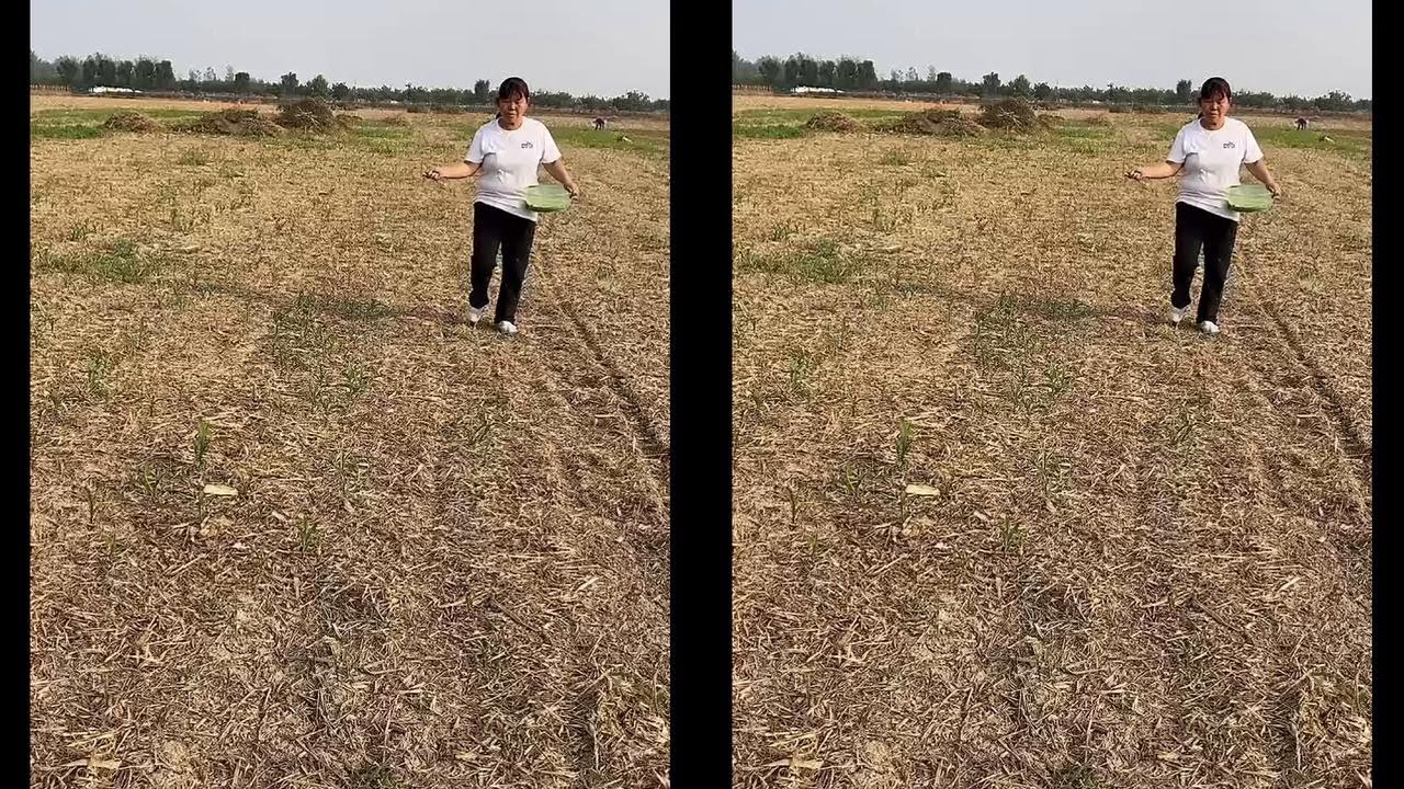 Funny Videos Chinese Funny Video