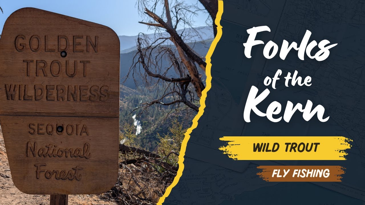 Wild Backcountry Rainbows - Fly Fishing The Upper Kern River | Forks Of The Kern