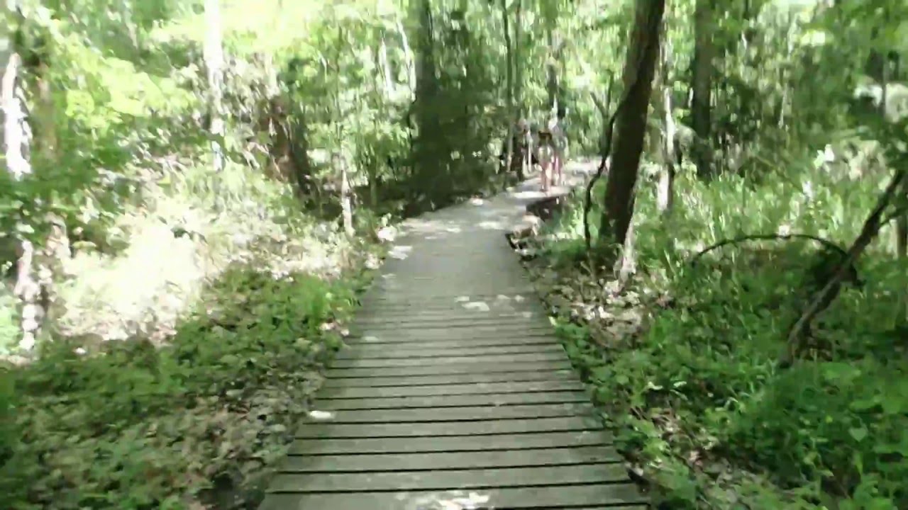 Boardwalk at Huntsville State Park YouTube
