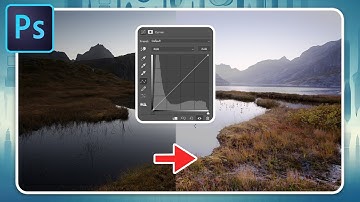 Learn Photoshop Curves: Easy Beginner Tutorial