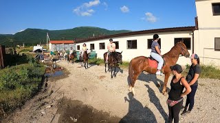 Экскурсия Конная прогулка в Кабардинке. Впервые в седле.