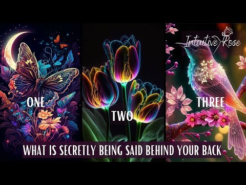 WHAT IS SECRETLY