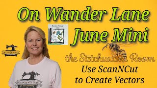 Let's Snapplique the June Mini Quilt from On Wander Lane, The Stitchuation Room screenshot 5