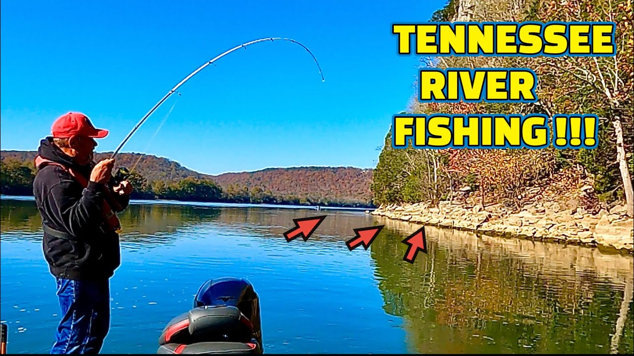 FISHING with LIVE MINNOWS as BAIT on the TENNESSEE RIVER !!!