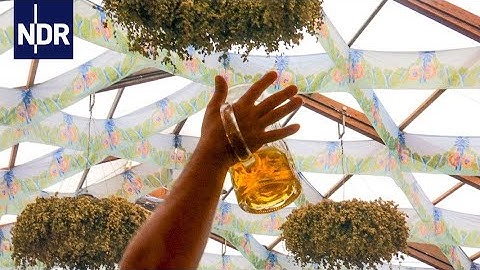 Oktoberfest München: Als Kellnerin auf der Wiesn | 7 Tage | NDR