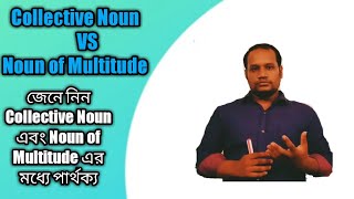 Collective Noun vs Noun of Multitude