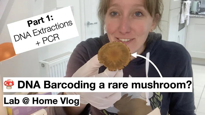 🍄 Is this a rare mushroom? DNA Barcoding Part 1: DNA Extractions + PCR