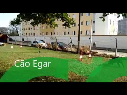 Pista de obstáculos - YouTube