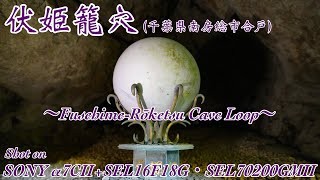 【伏姫籠穴 #369】〜Fusehime-Rōketsu Cave Loop〜【SONY α7CⅡ+SEL16F18G】