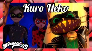 Gato PERFEITO DEMAIS?! Kuro Neko (Review e Análise) - Miraculous Ladybug