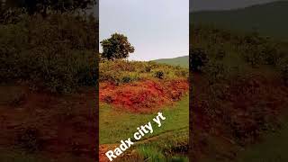 Radx city yt