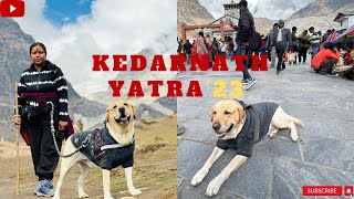 TRAVELLING with PET DOG to KEDARNATH|KEDARNATH YATRA'23|DEHRADUN to KEDARNATH#kedarnath #mahadev