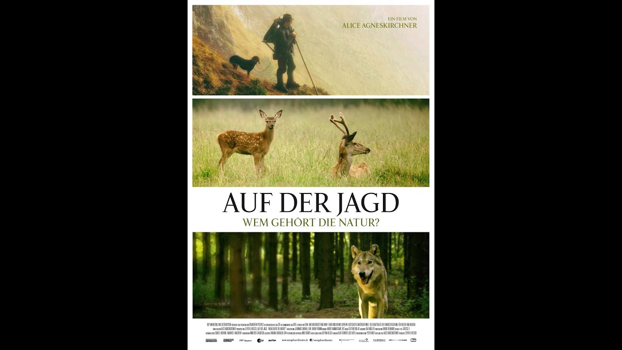 auf der jagd wem gehГ¶rt die natur auf der jagd wem gehГ¶rt die natur