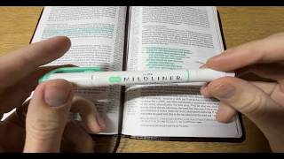 Zebra Pen Mildliner Dual Tip Color Highlighter Marker Set, Best no bleed  Bible highlighters!