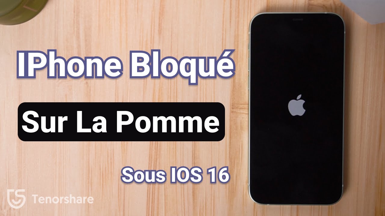 Comment réparer iPhone bloqué sur la pomme sous iOS 16 sans perdre de