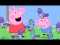 Peppa Pig Full Episodes | Peppa's Pigeon Pals | Kids Video