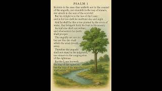 Reflactive Worship With Gods Word - Psalm 1