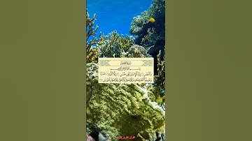 تلاوة هادئة 🌻 سورة العصر 🌄 عمر القزابري / مقطع من القرآن الكريم #القران_الكريم_100