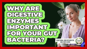 Why Are Digestive Enzymes Important For Your Gut Bacteria?