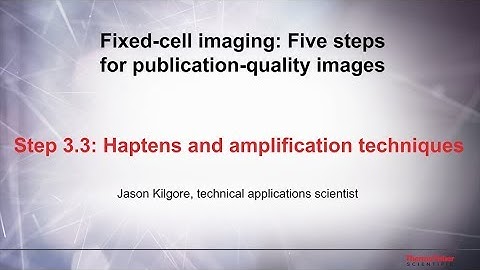 3.3 Amplification techniques–Fixed cell imaging: 5 steps for publication-quality images