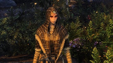 Thief Encounter in Skyrim