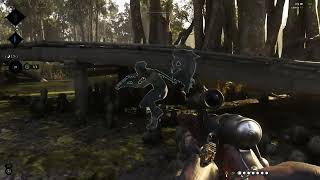 Hunt: Showdown | Map Bug Port Reeker