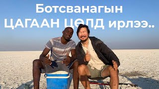 видео: Ботсвана улсад зорьж байсан Макгадикади панс буюу “Цөлийн цагаан тогоо” байгалийн үзэсгэлэнт газарт. картинка: Ботсвана улсад зорьж байсан Макгадикади панс буюу “Цөлийн цагаан тогоо” байгалийн үзэсгэлэнт газарт.