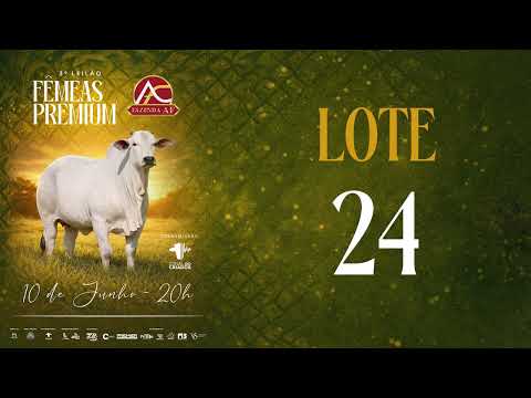 LOTE 24 ARFS 297
