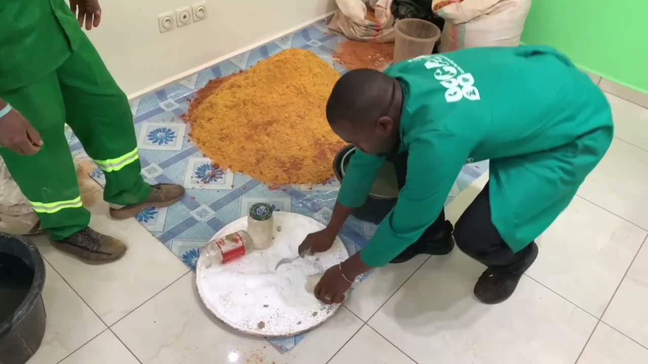 REUSSIR SON SUBSTRAT POUR LA CULTURE DES PLEUROTES AVEC LA SCIURE DE BOIS