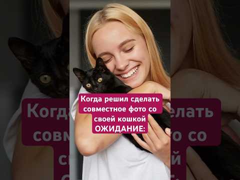 Ожидание и реальность 😂 совместное фото #приколы #кошки #животные