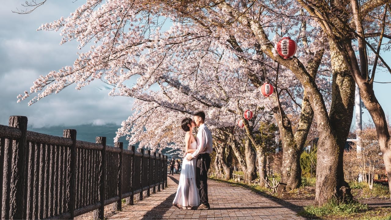Exploring Japan in Cherry Blossom Season - YouTube