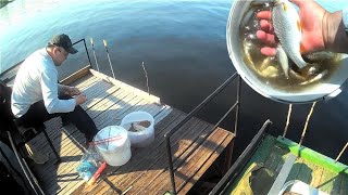 Рыбалка с бухарестом, решили повторить). by Gennadyy Kuz'menko 1,558 views 10 months ago 18 minutes