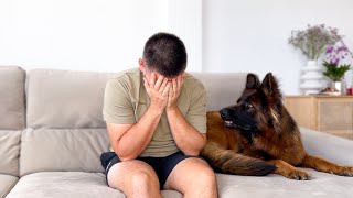 German Shepherd Reaction to Me Crying