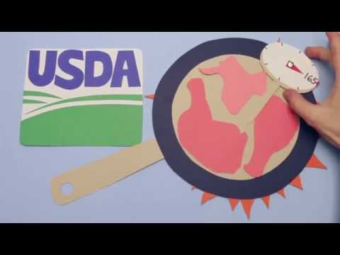How salmonella spreads from farm to table