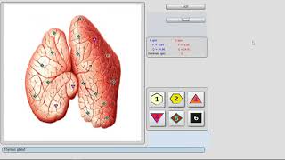 the latest Bioplasm V6 demo video