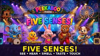 Five Senses Song for Kids | Use My Senses! | Peekaboo Park