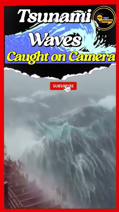 Tsunami live on camera