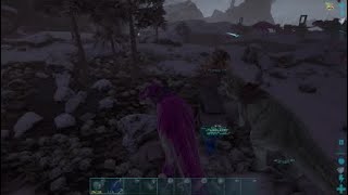 THE WIPE OF 1017 (Part 1)