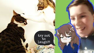 try not to laugh!!! (FT.@unkn0wn_____________ )