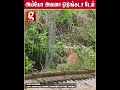 அய்யோ😱 அவனா ஒடுங்கடா டேய்🐯வேலிக்கு பக்கத்துலயே தெரிந்ததும் ஓட்டம் பிடித்த மக்கள்