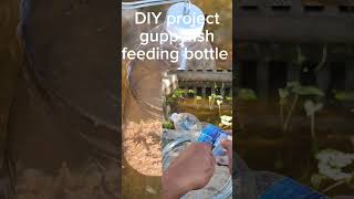 #diy #fishing #guppy first feeding bottle